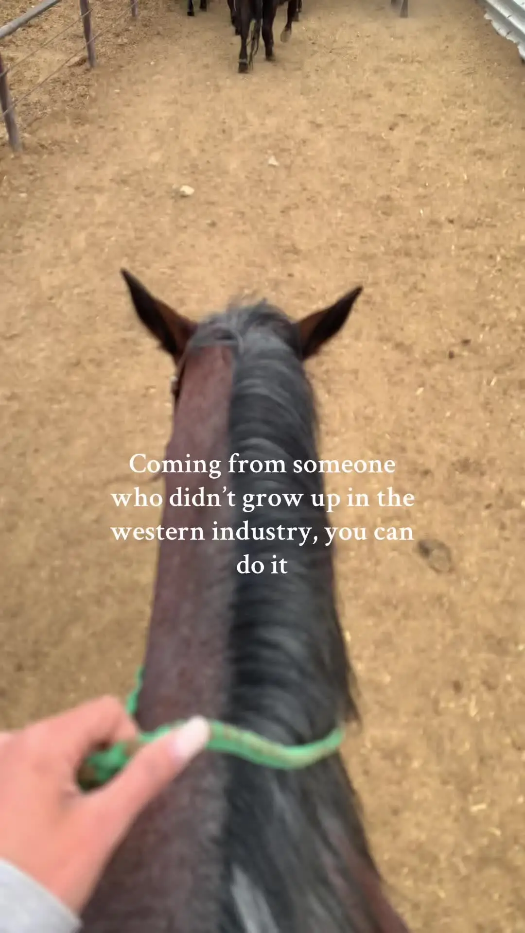 Tiktok post preview 3 from @charlialayna