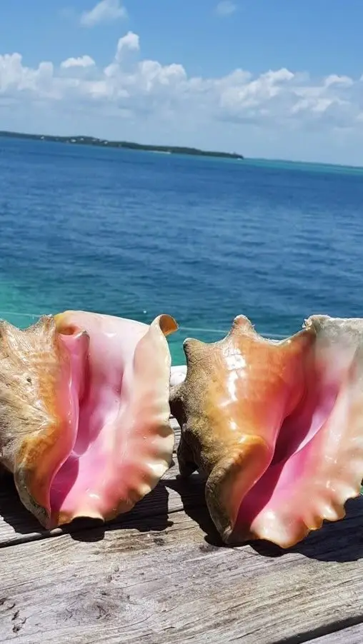 Instagram post thumbnail