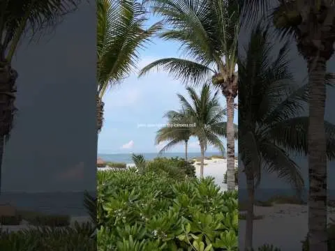 Youtube post preview 3 from UCk7em62GFD2erjccFcaq22g