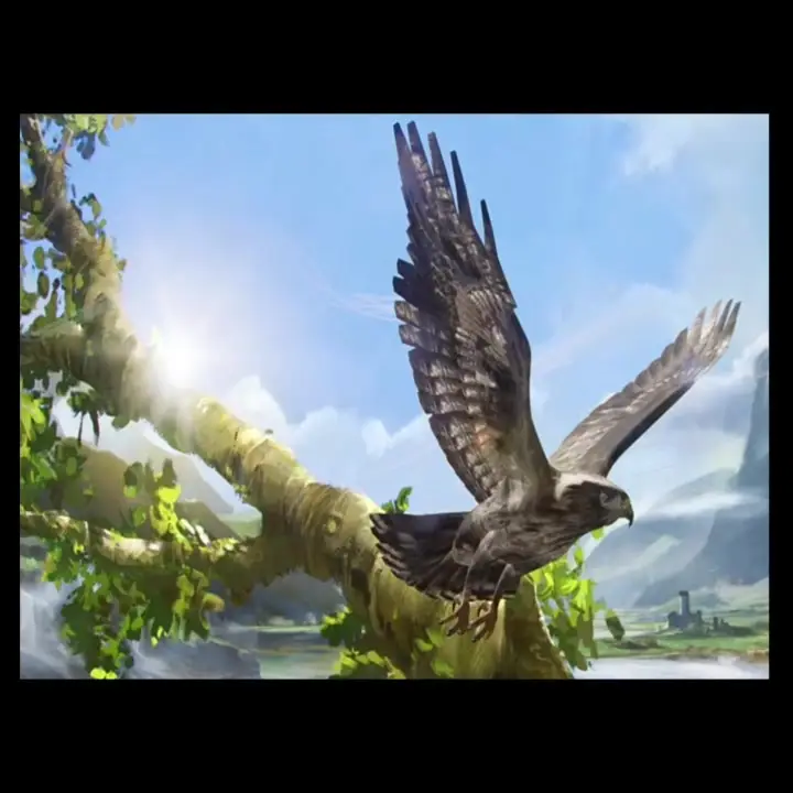 Tiktok post preview 3 from @tristanceran