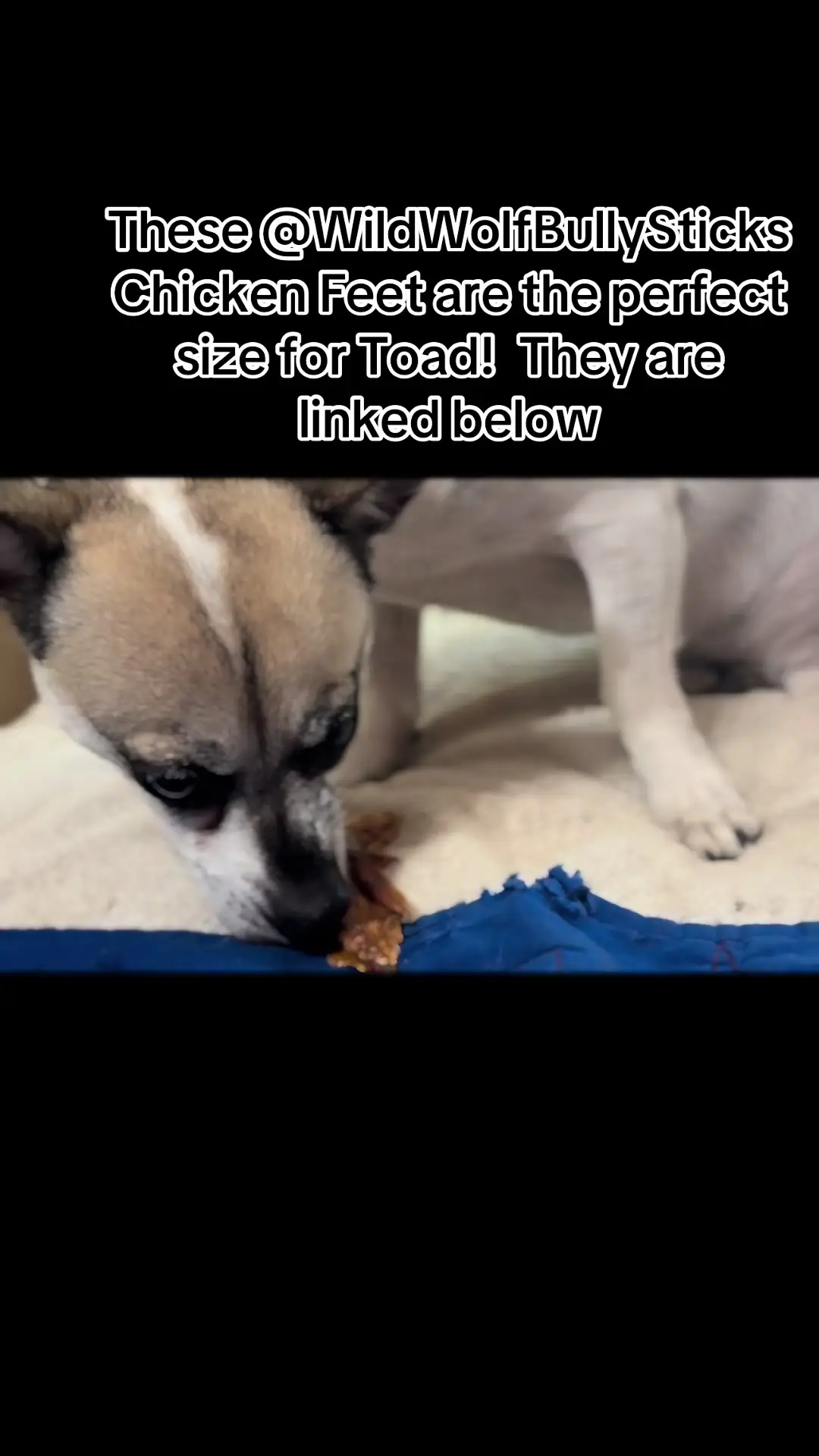 Tiktok post thumbnail