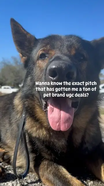 Instagram post thumbnail