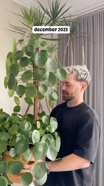 Instagram post preview 3 from leafy.lane