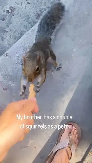 Instagram post thumbnail
