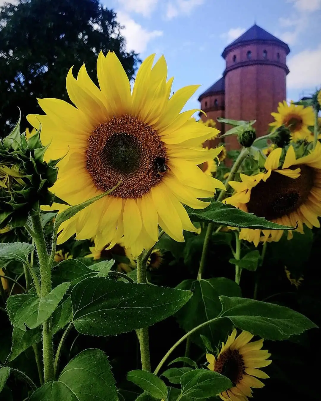 Instagram post thumbnail