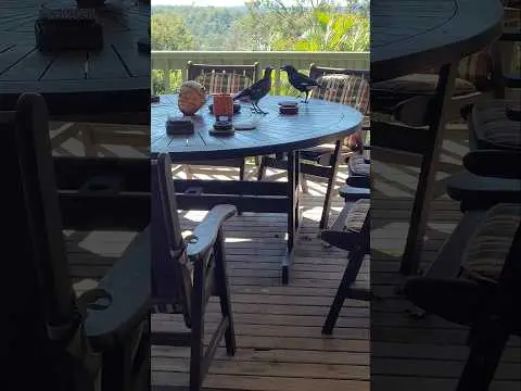Youtube post preview 2 from UC98f_uIt498lvS_eJwQY37w