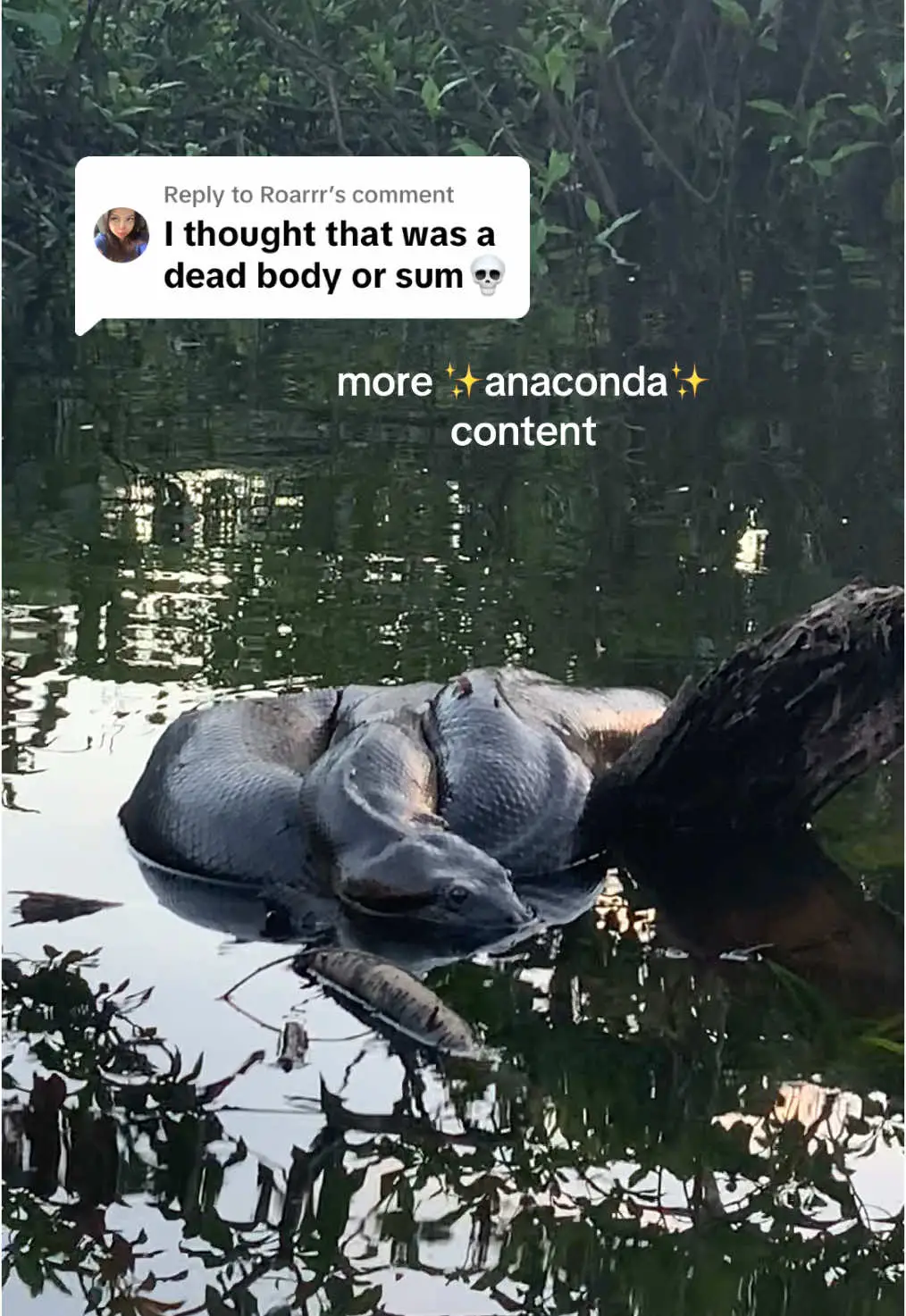 Tiktok post preview 3 from @sarahzhdavis
