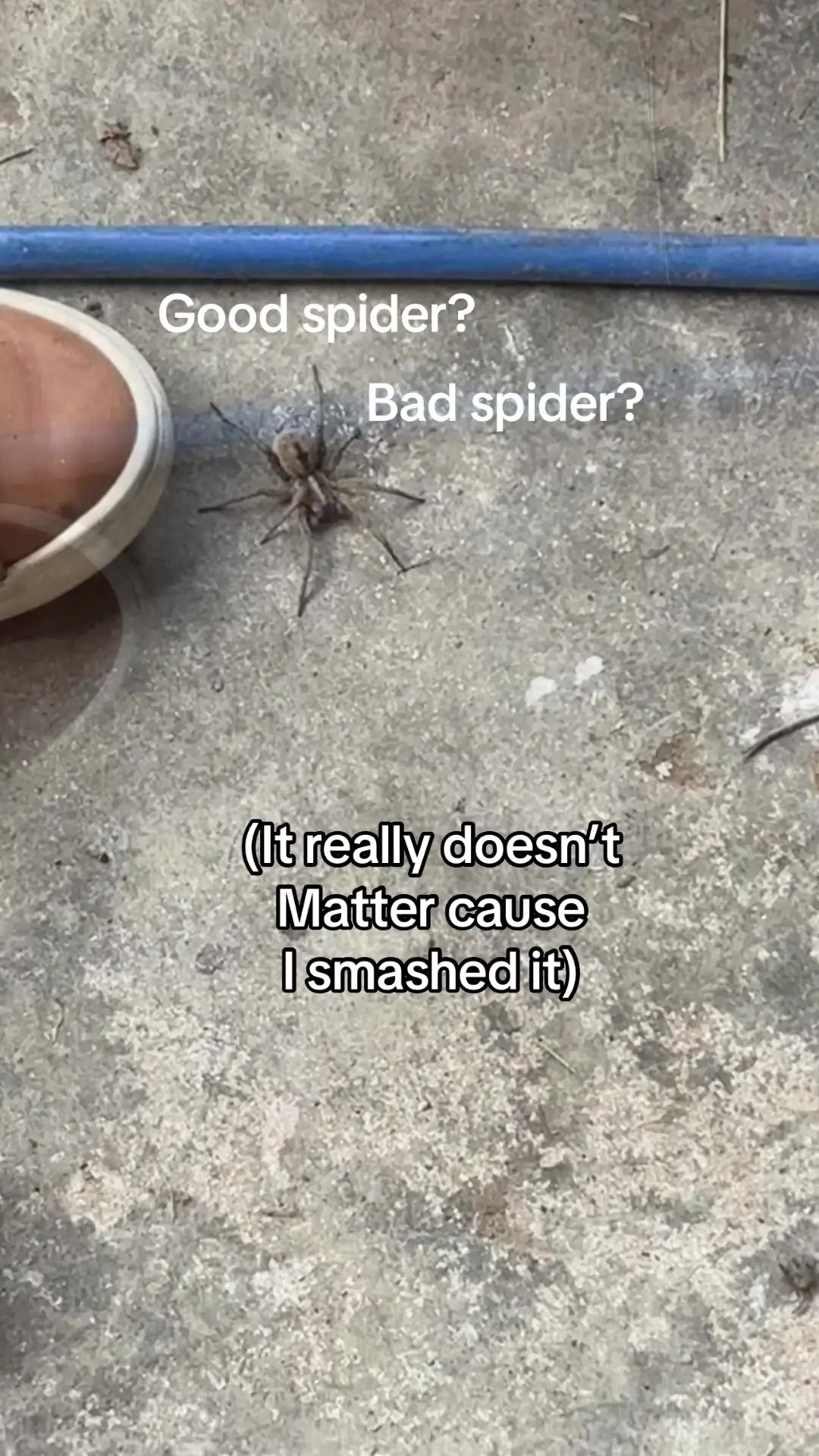 Tiktok post thumbnail