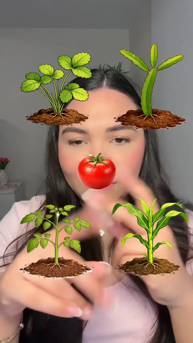 Instagram post thumbnail