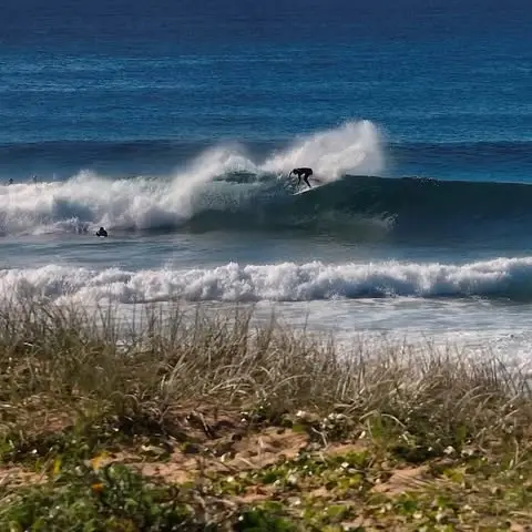 Instagram post preview 1 from curtisredden
