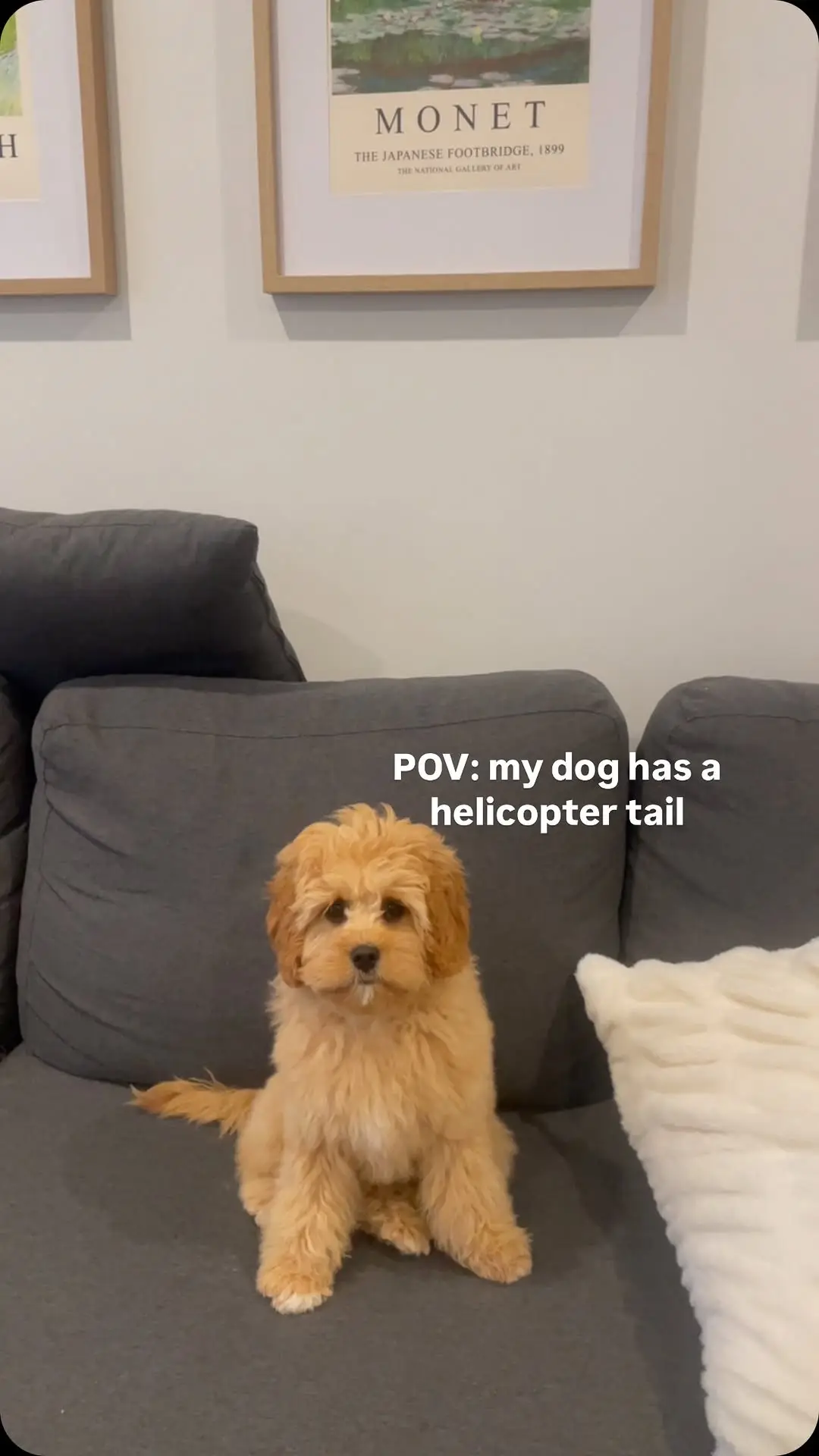 Instagram post thumbnail