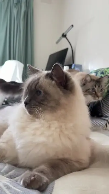 Instagram post thumbnail