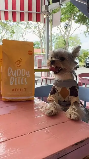 Instagram post thumbnail
