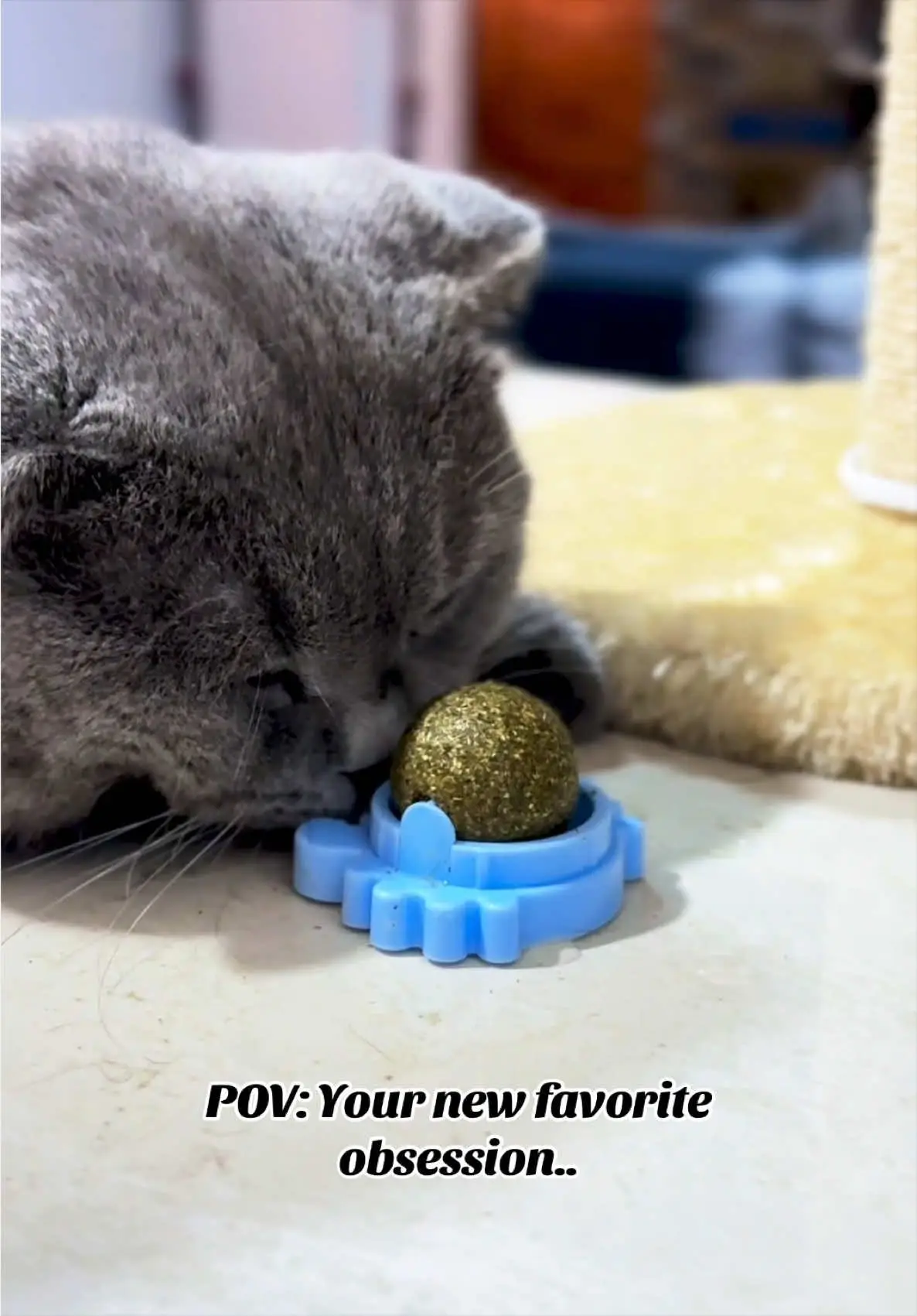 Tiktok post preview 2 from @jonalynidy