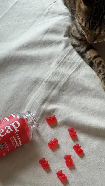Instagram post thumbnail