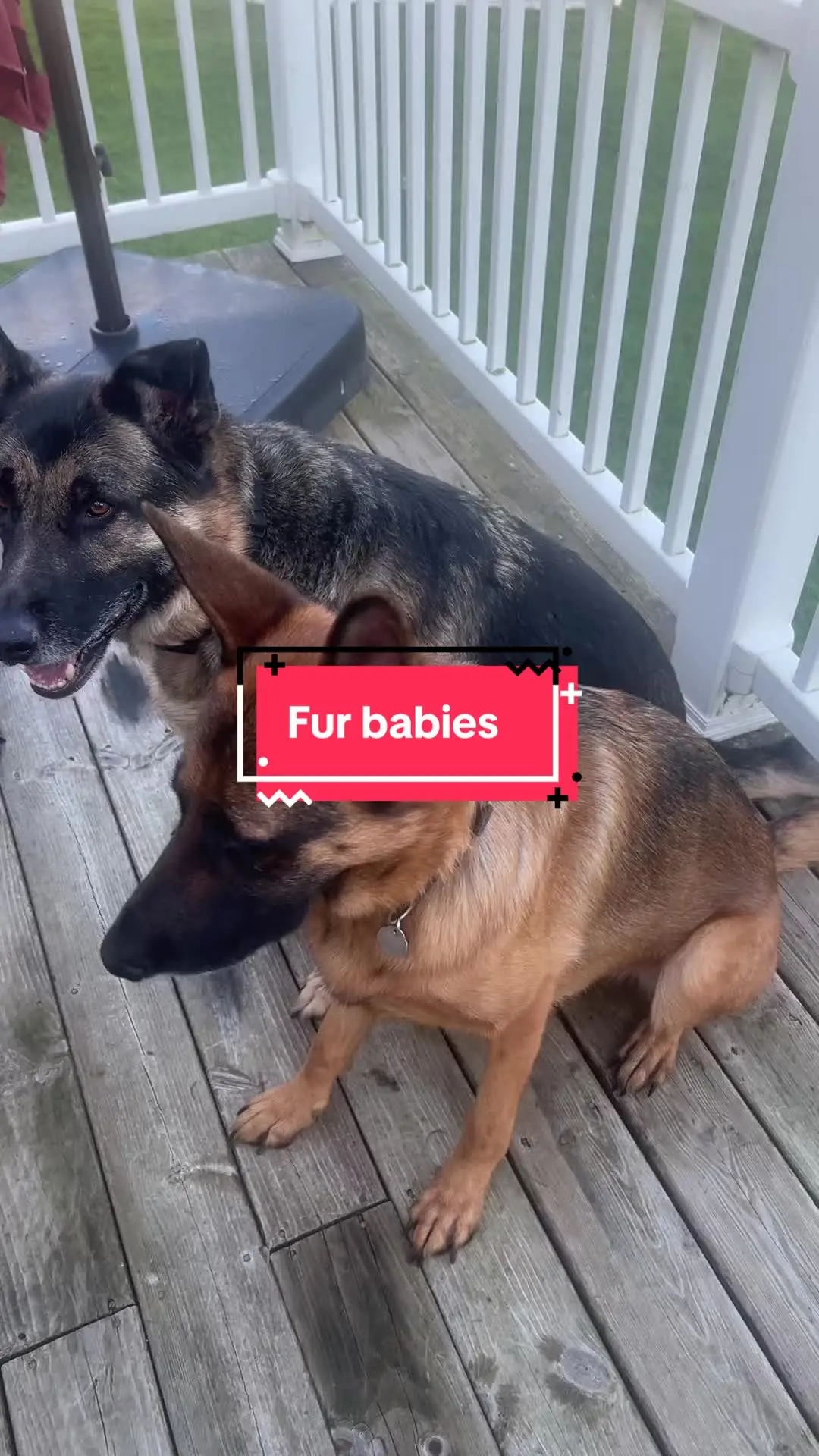Tiktok post preview 1 from @savinmomma
