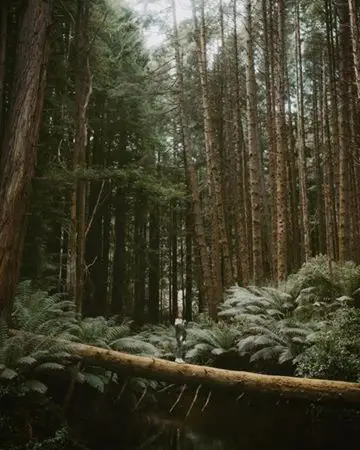 Instagram post thumbnail