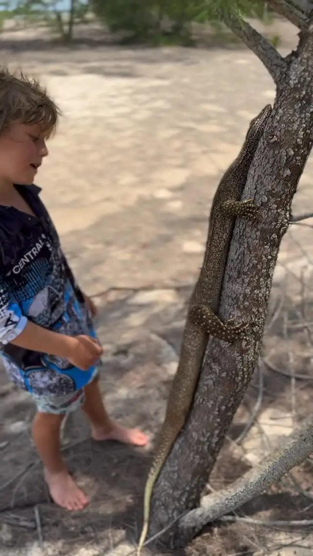 Instagram post thumbnail