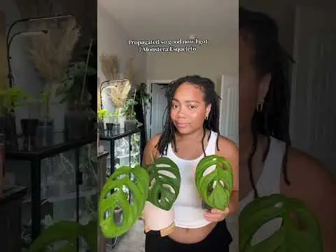 Youtube post preview 3 from UCZJ-yQwG1x4Zfd9B5cboUtQ
