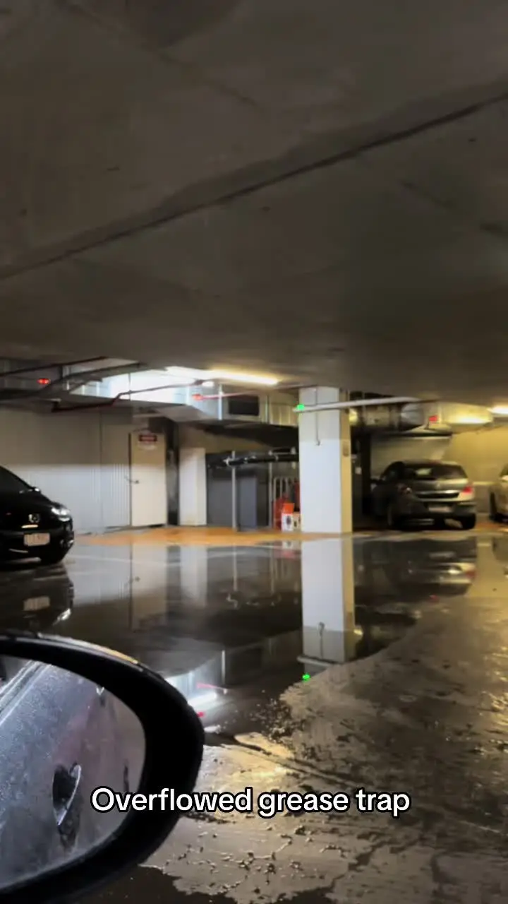 Tiktok post preview 3 from @porscha_ferrari