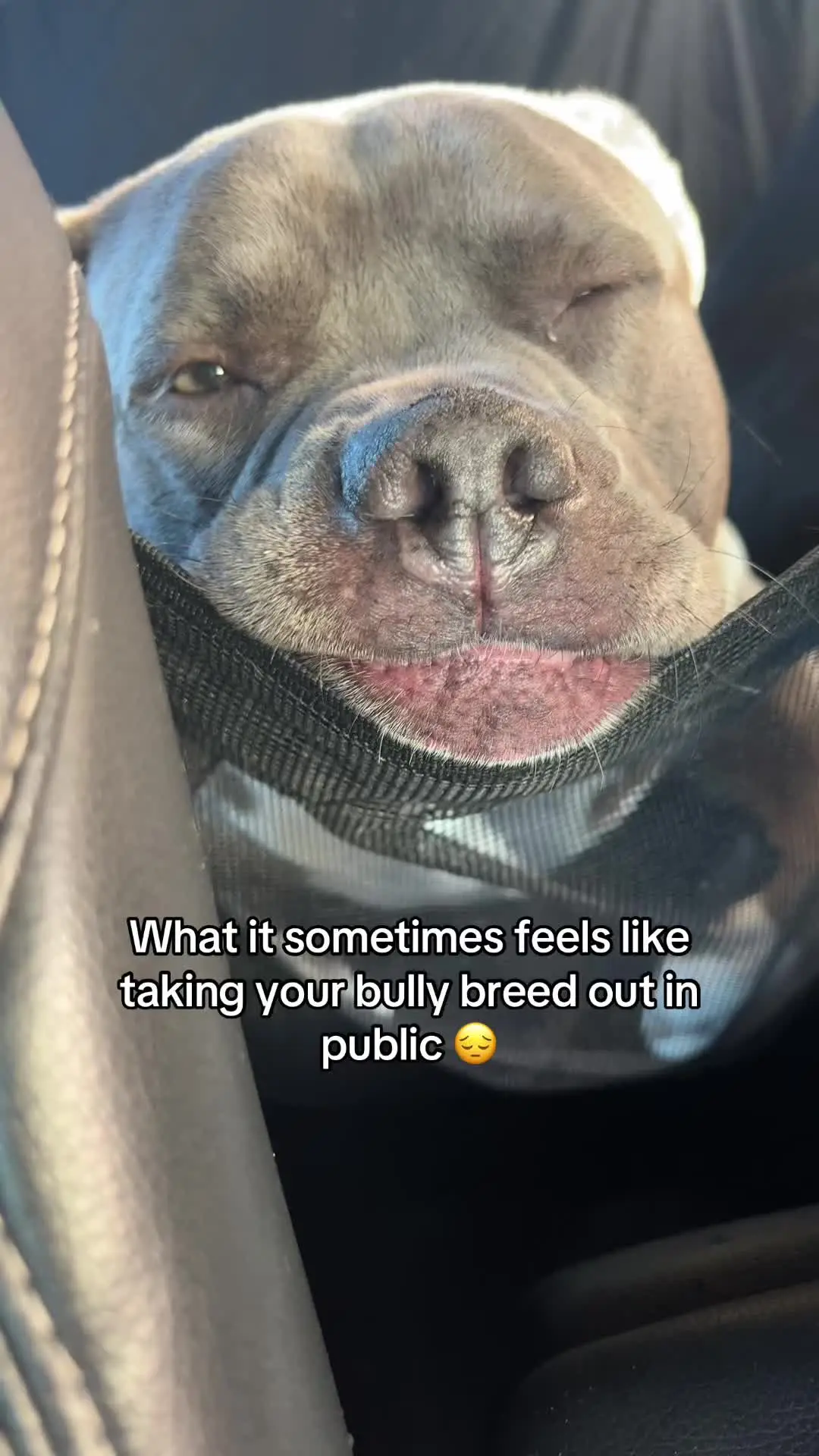 Tiktok post preview 3 from @duke.thebluepit