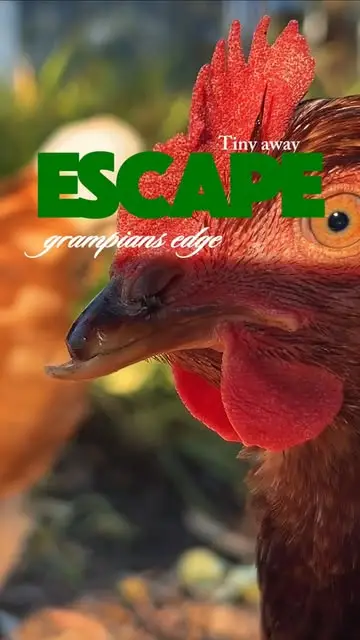 Instagram post thumbnail