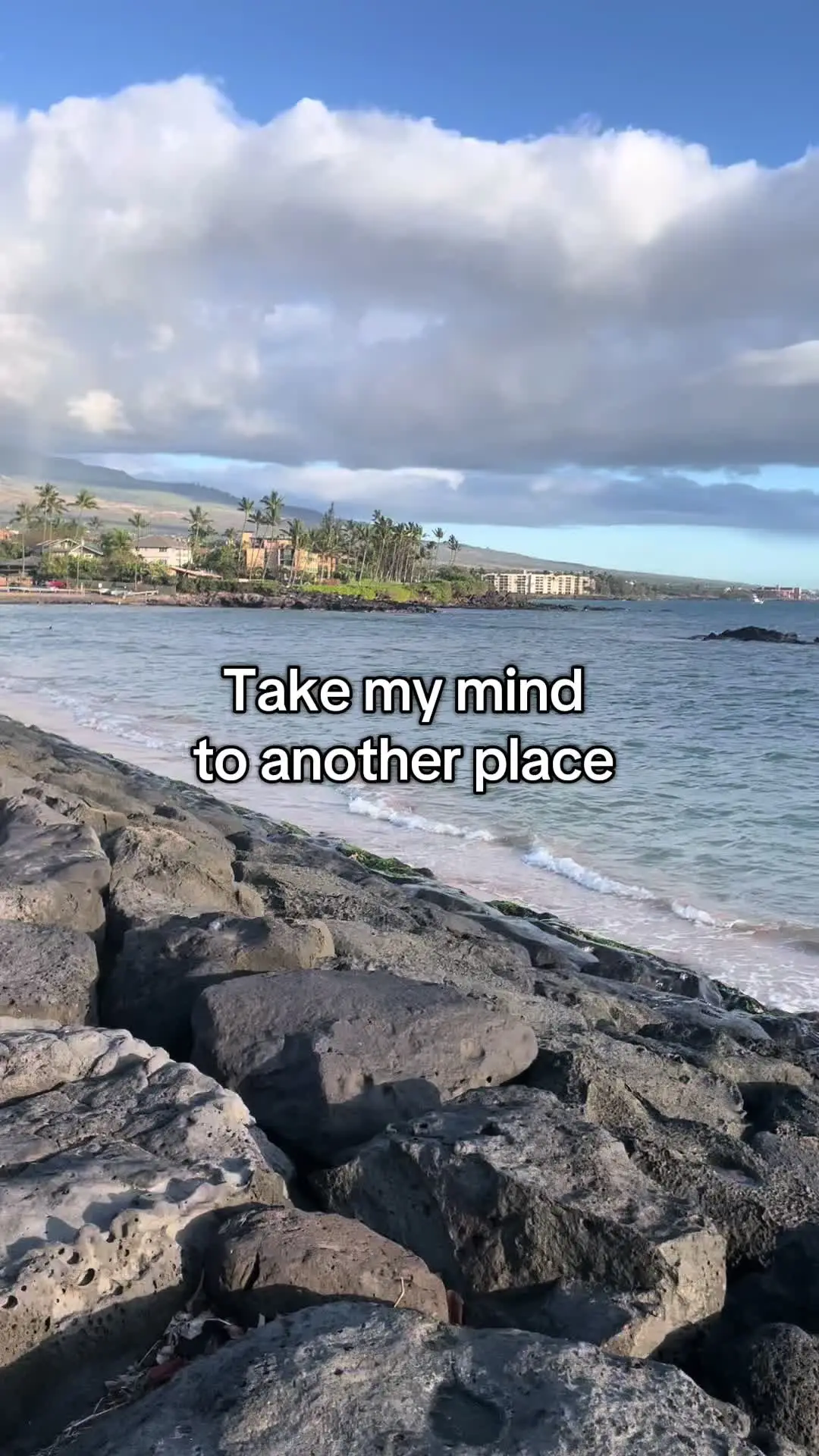 Tiktok post preview 2 from @courtieb003
