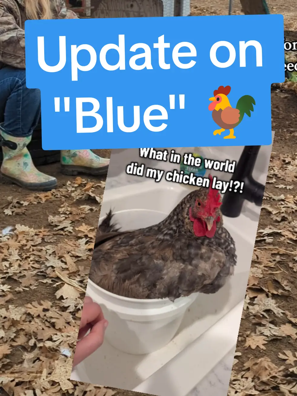 Tiktok post thumbnail