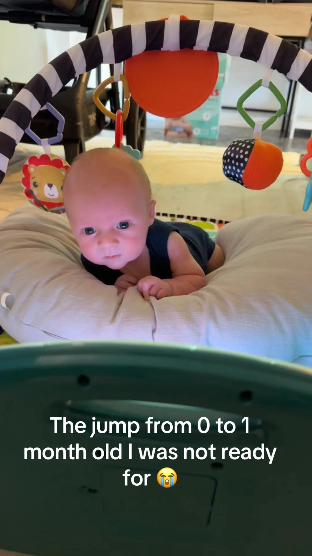 Tiktok post preview 2 from @jessaunger