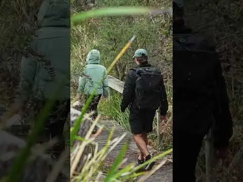 Youtube post preview 3 from UCq_ghLgC7dvSs5Q0rYTLR9g
