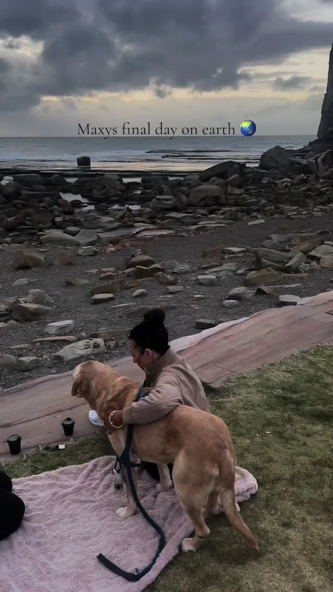 Tiktok post preview 2 from @ella_nelson_