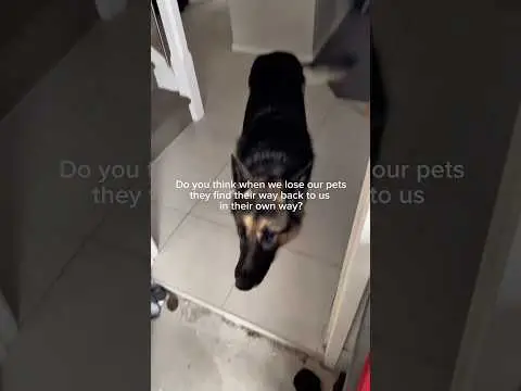 Youtube post preview 2 from UCLAzZsAxUwAfug2Wp0LDqtw