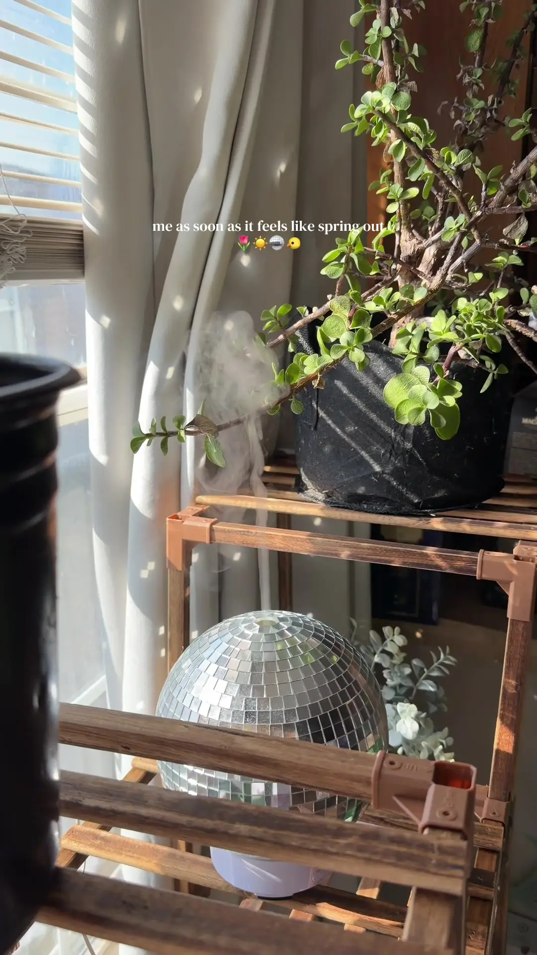 Tiktok post preview 2 from @sarahirsak