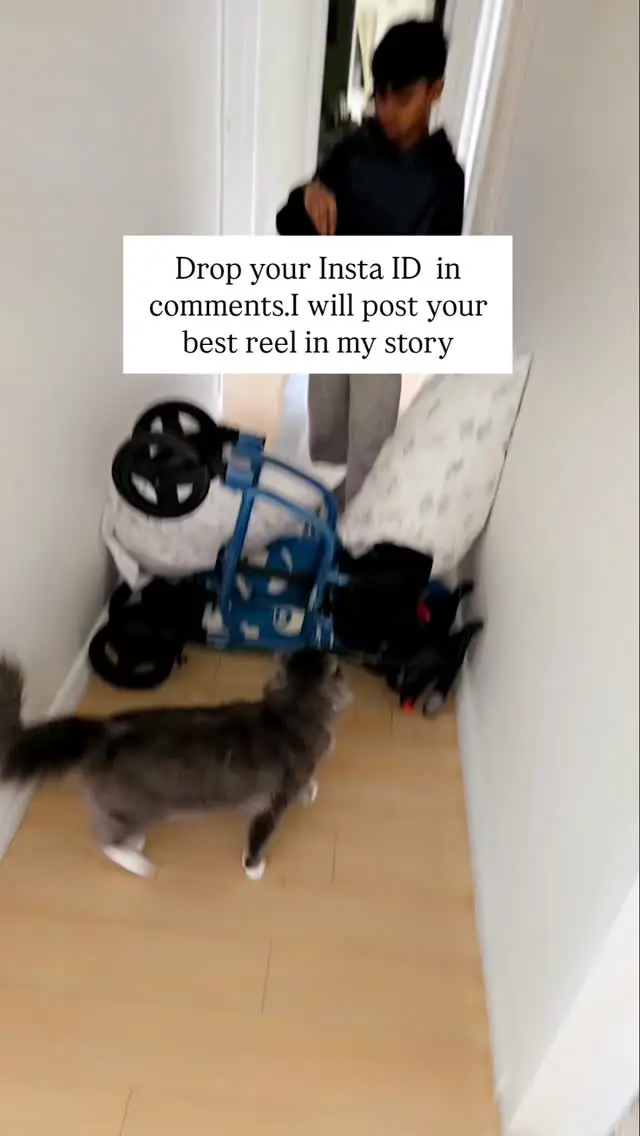 Instagram post preview 2 from shaheen.digitalprofits