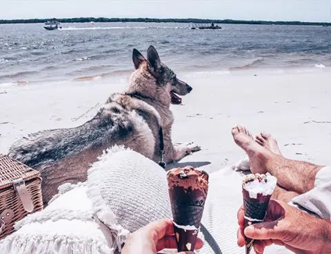 Instagram post thumbnail