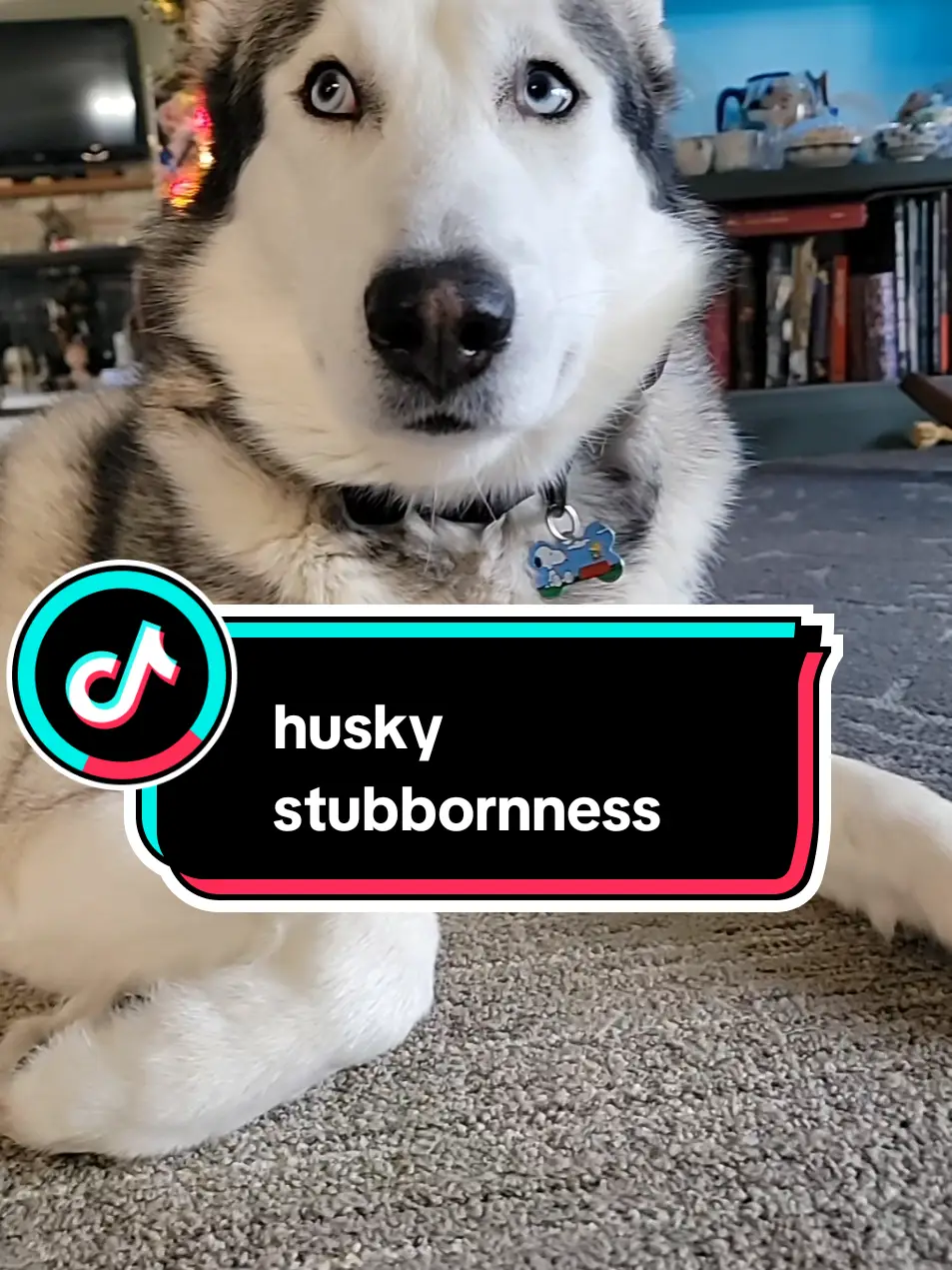 Tiktok post preview 3 from @sonyarb45