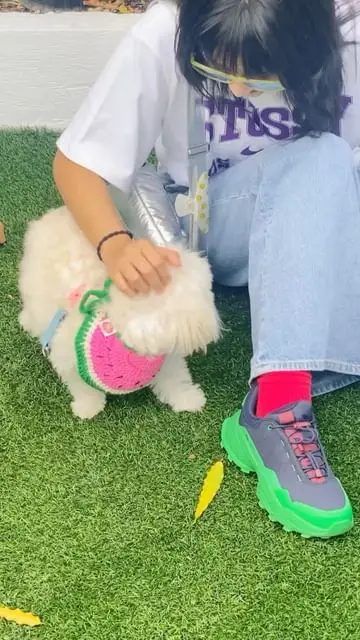 Instagram post thumbnail