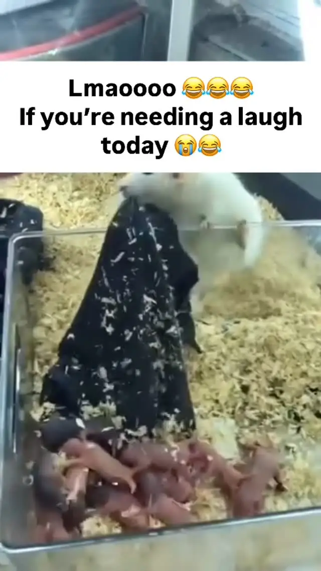 Instagram post thumbnail