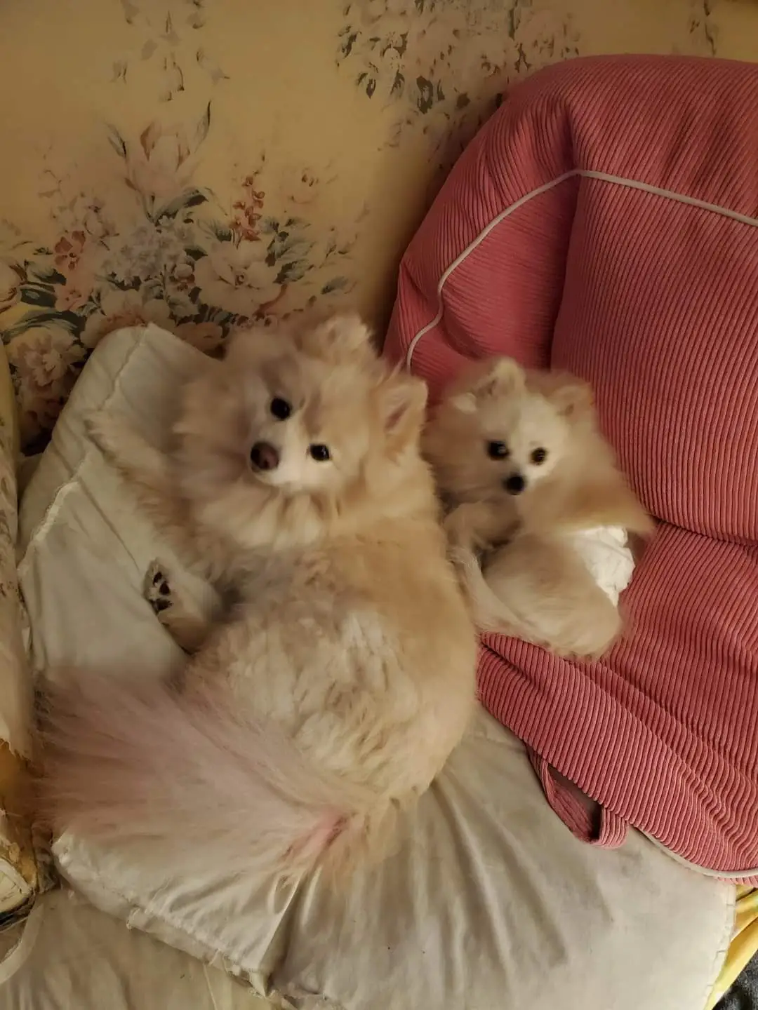 Tiktok post thumbnail