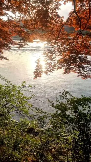 Instagram post thumbnail