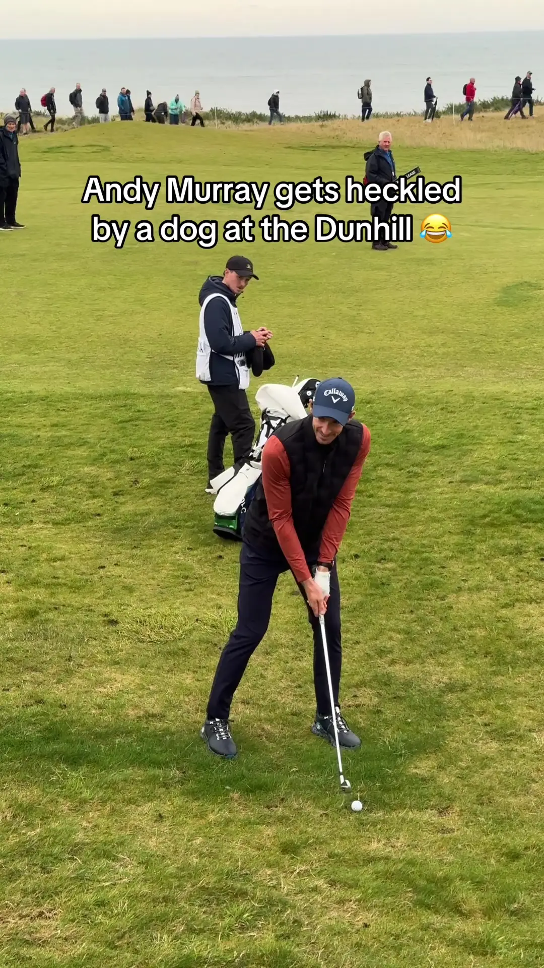 Tiktok post preview 3 from @hannahholdengolf