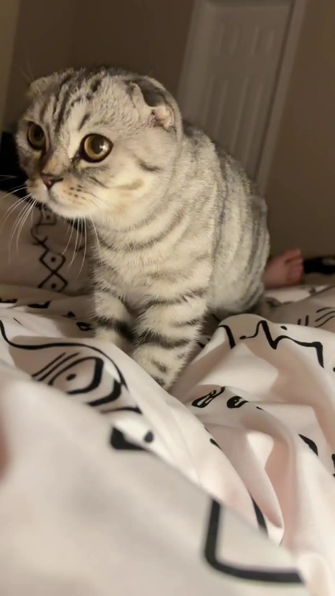 Tiktok post preview 3 from @catinfluenster