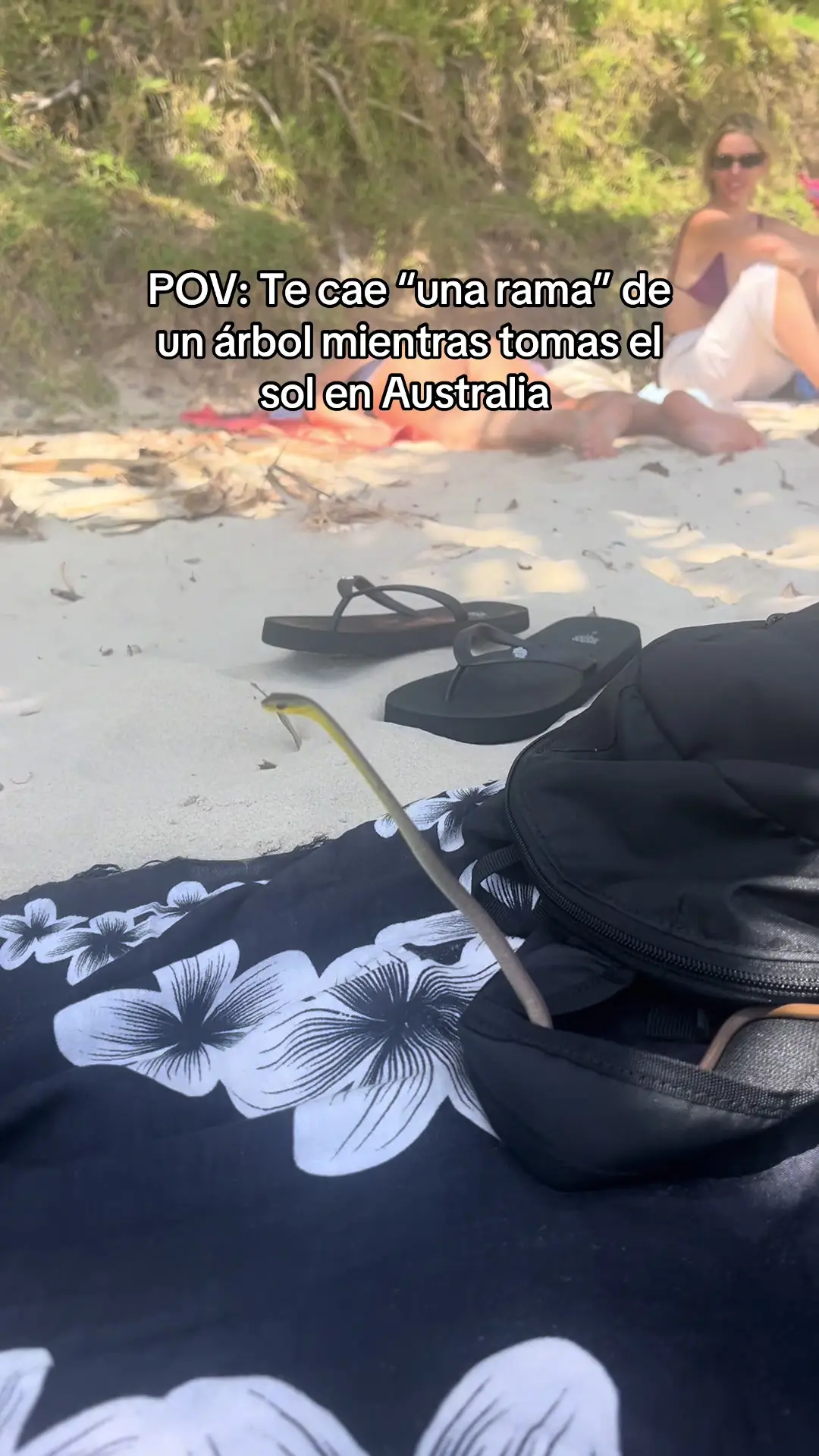 Tiktok post thumbnail