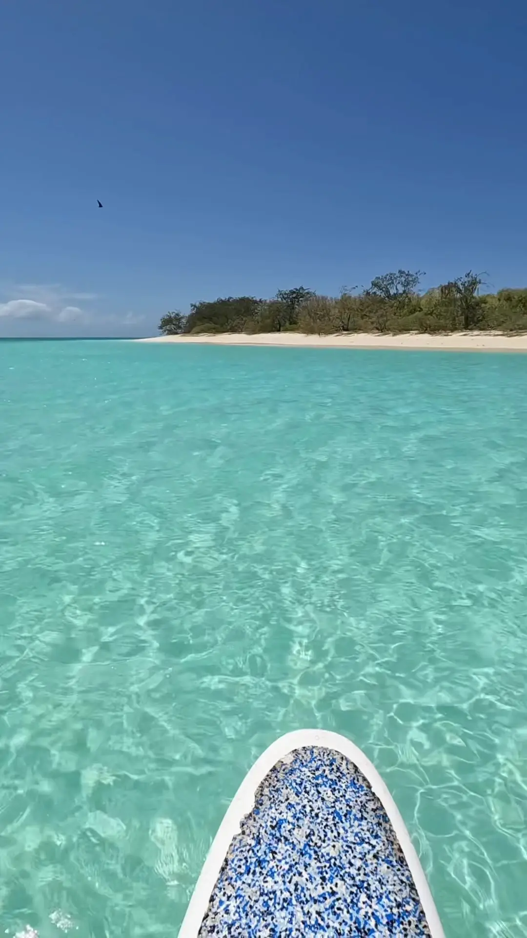 Tiktok post preview 3 from @blue.eyed.explorer