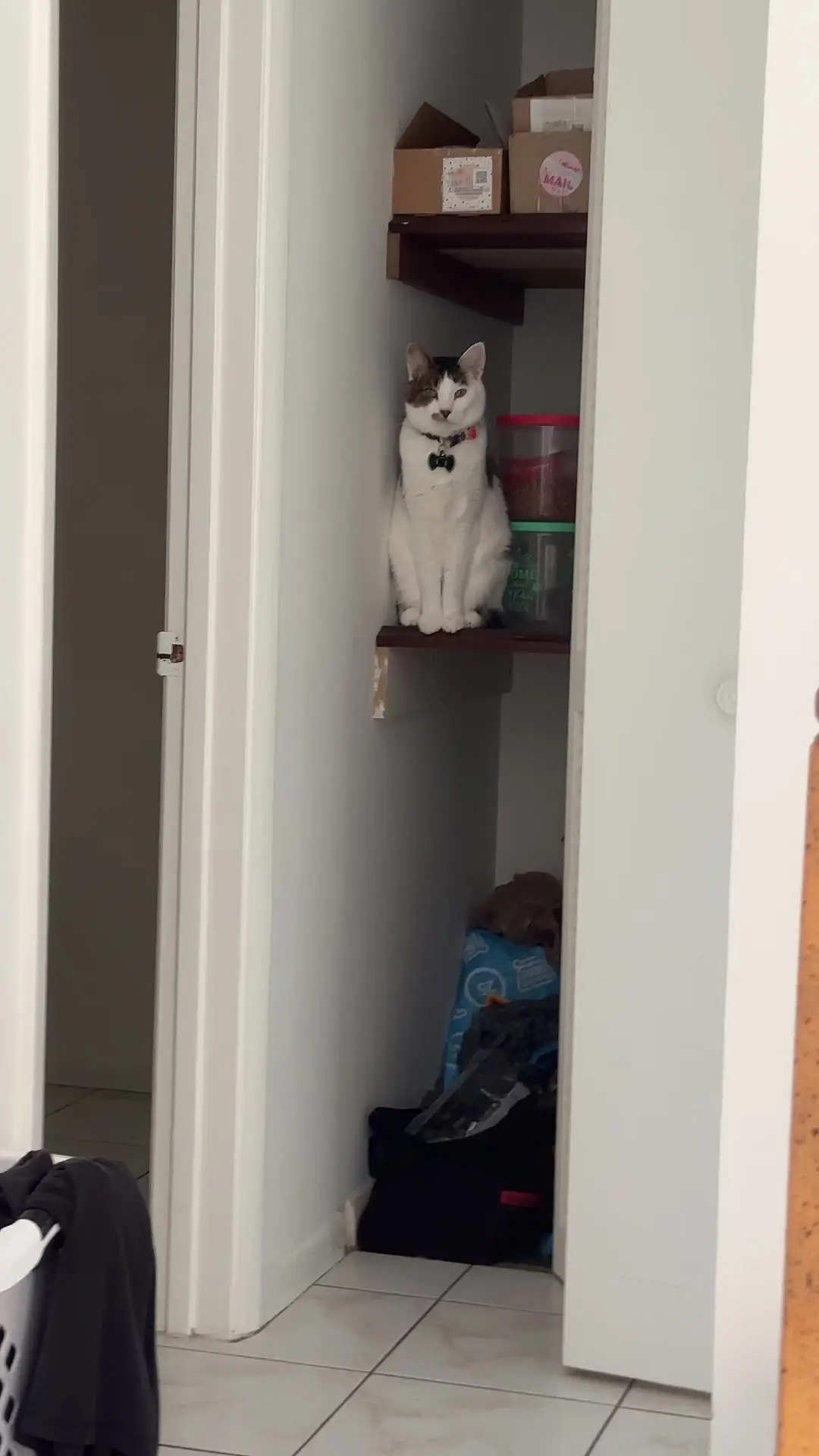 Tiktok post thumbnail
