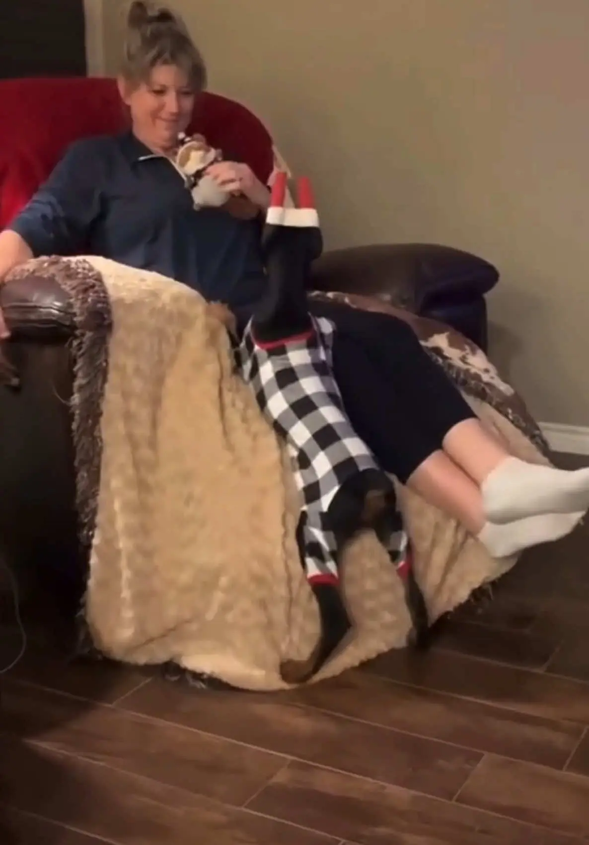Tiktok post preview 2 from @dobermannation