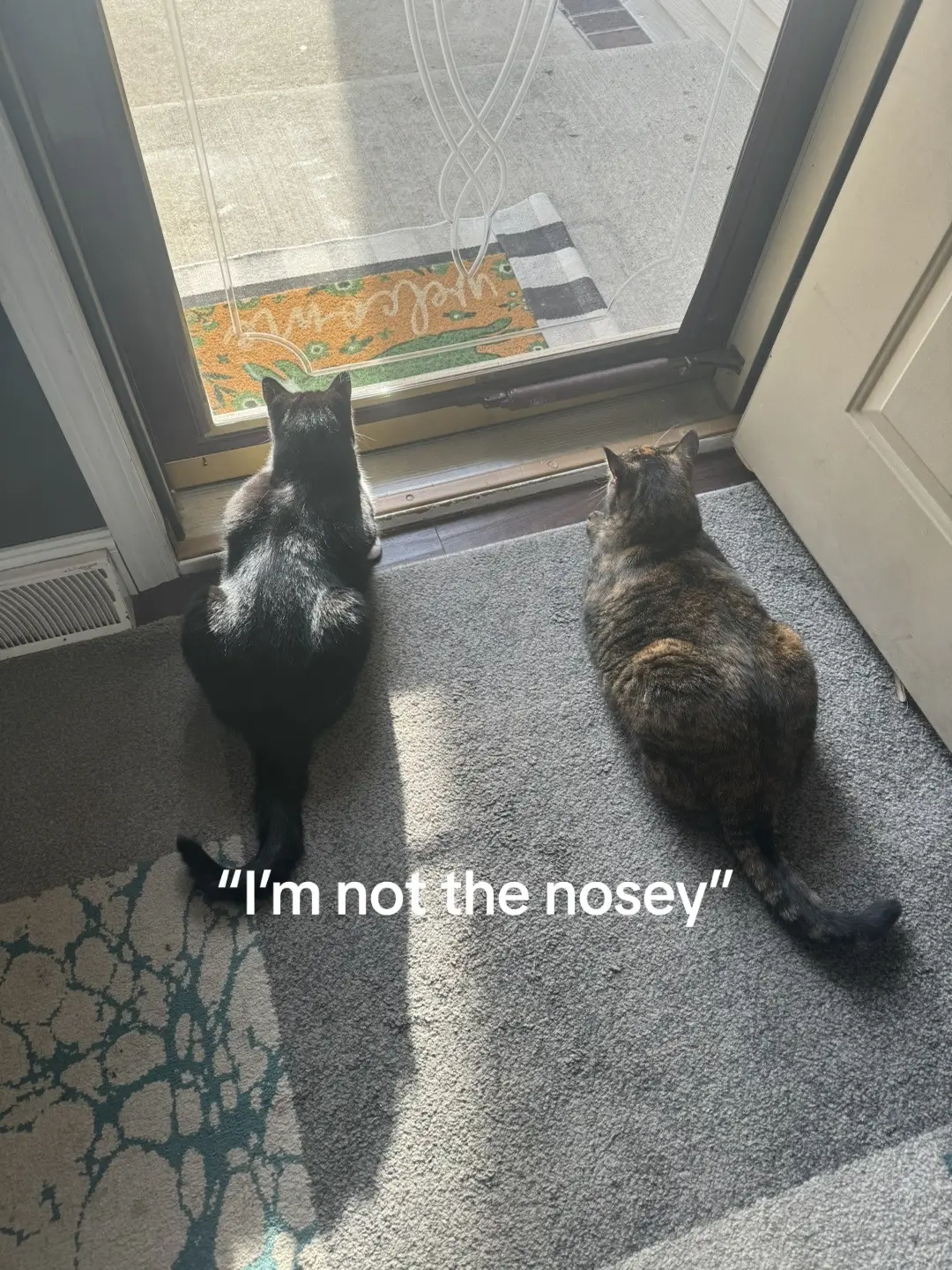 Tiktok post preview 3 from @lillyfaller