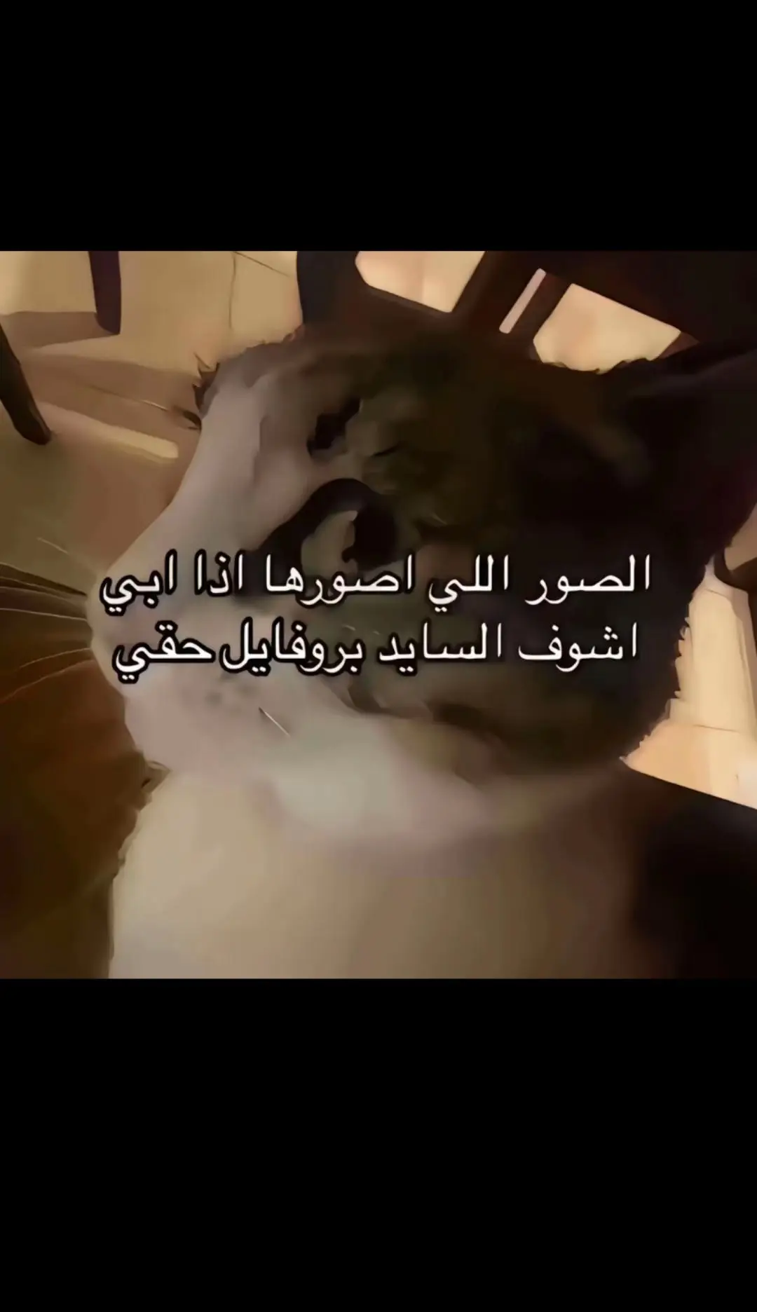 Tiktok post preview 3 from @rina_a.5