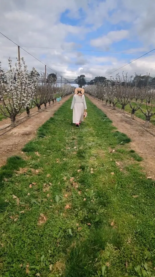 Instagram post preview 2 from sarahs.life.and.fashion