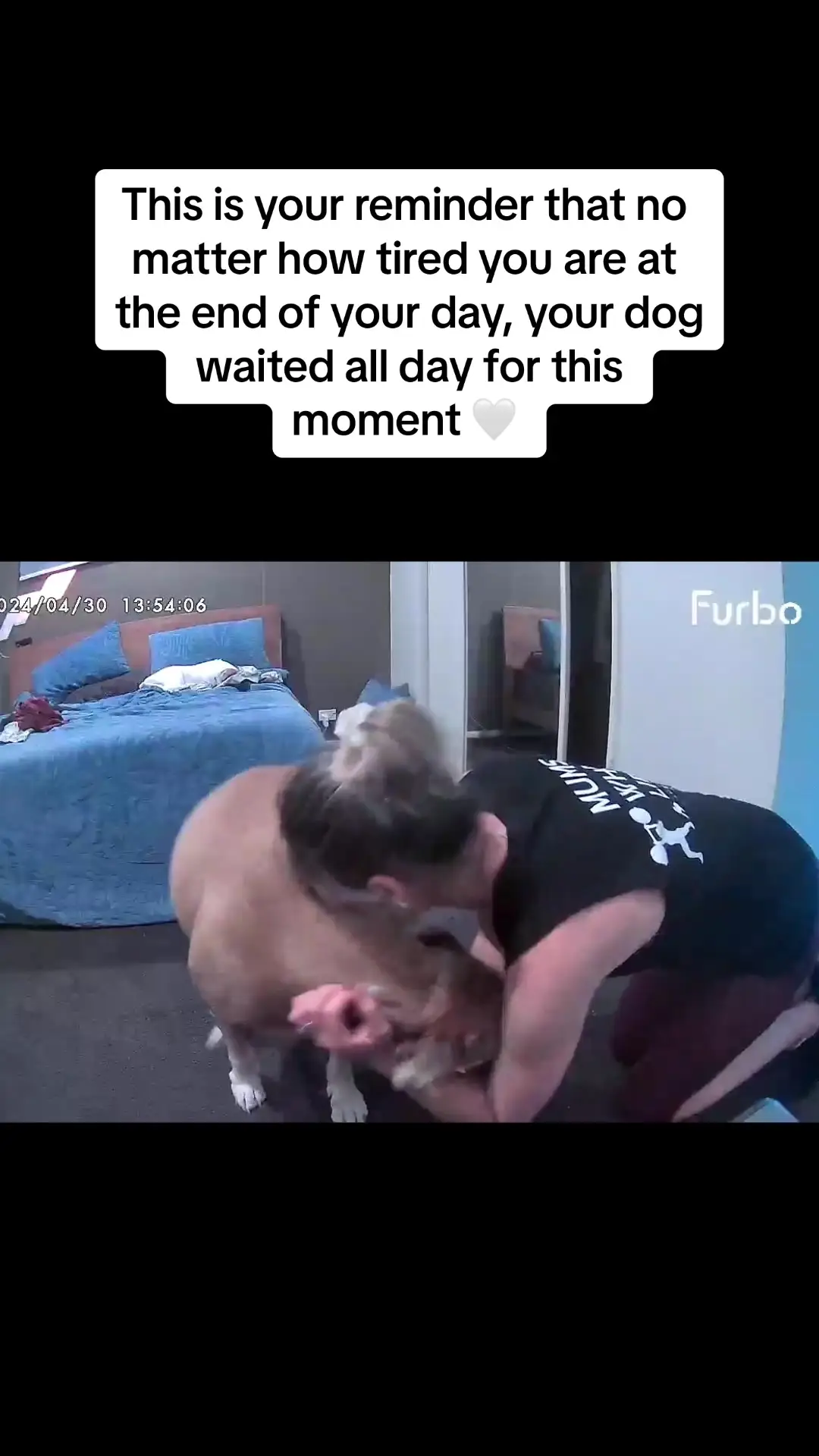 Tiktok post preview 2 from @amospearce